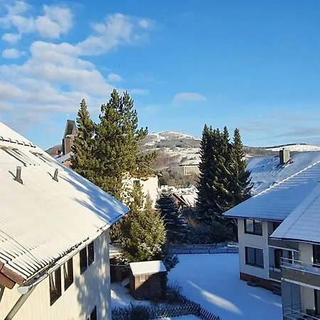 Bergloft Mit Balkon Διαμέρισμα